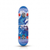 Скейтборд horse 71*20 пвх колеса *6 WX-604-1